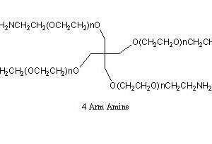 4 Arm PEG-NH2