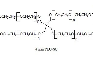 4 Arm PEG-SC