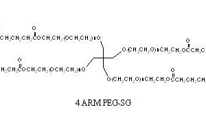 4 Arm PEG-SG