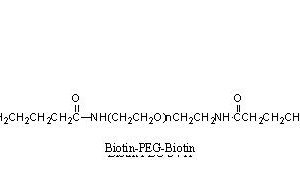 Biotin-PEG-Biotin