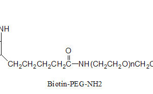 Biotin-PEG-NH2