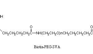 Biotin-PEG-SVA-5000-100MG/mPEG-SVA-5000-1GR kit