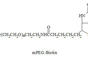 mPEG-Biotin