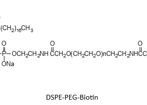 Biotin-PEG-DSPE